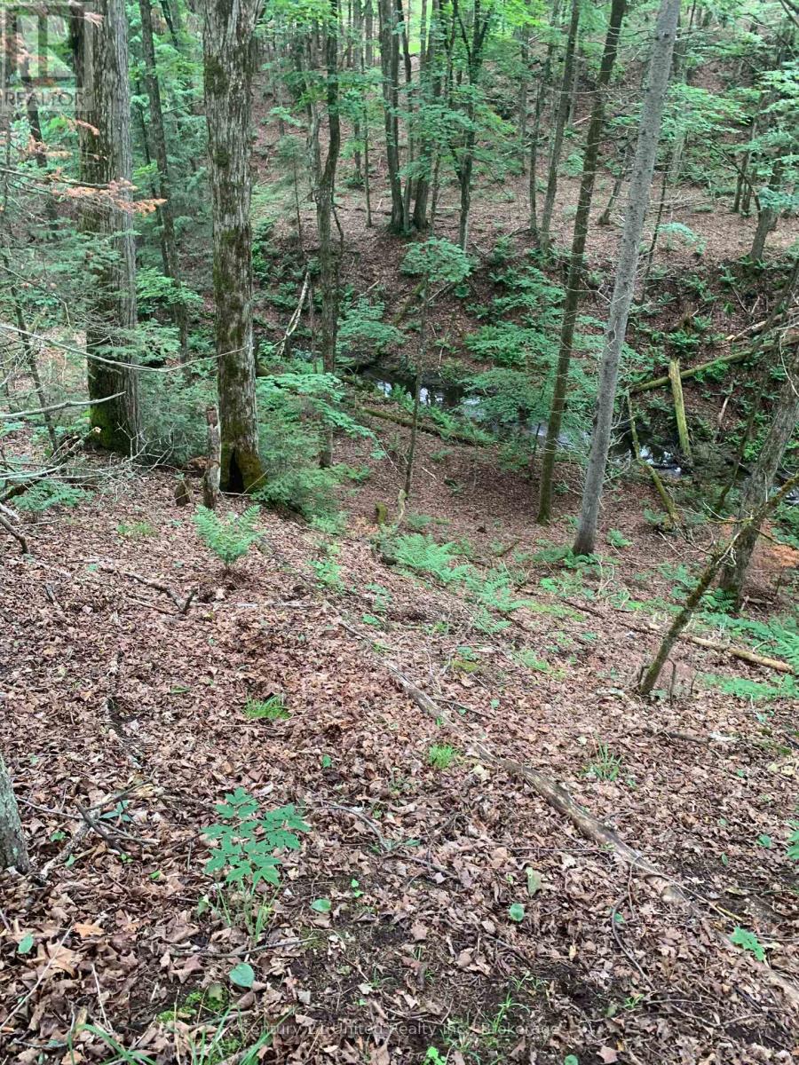 N/A HIGHWAY 28 (NORTH LOT), highlands east (cardiff ward), Ontario