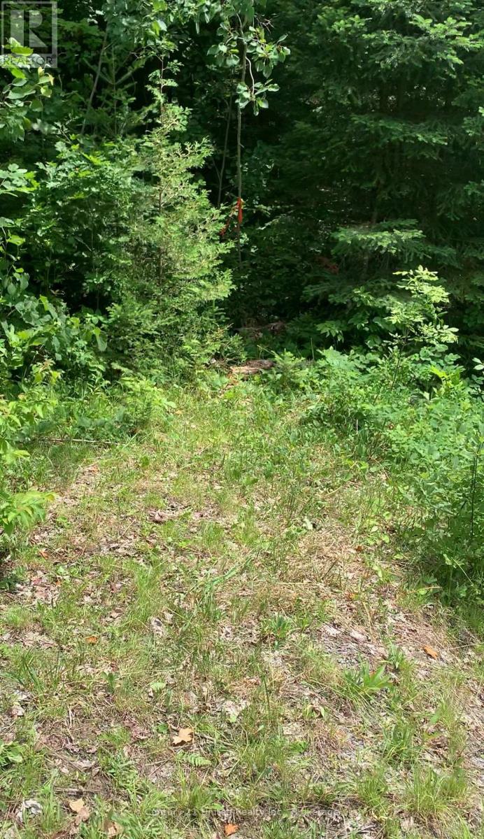 N/a Highway 28 (North Lot), Highlands East (Cardiff Ward), Ontario  K0L 1C0 - Photo 12 - X13517678