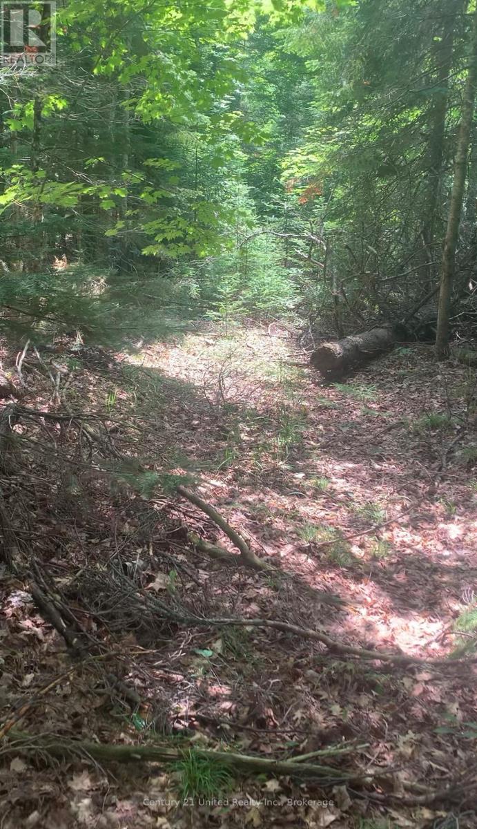 N/a Highway 28 (North Lot), Highlands East (Cardiff Ward), Ontario  K0L 1C0 - Photo 2 - X13517678