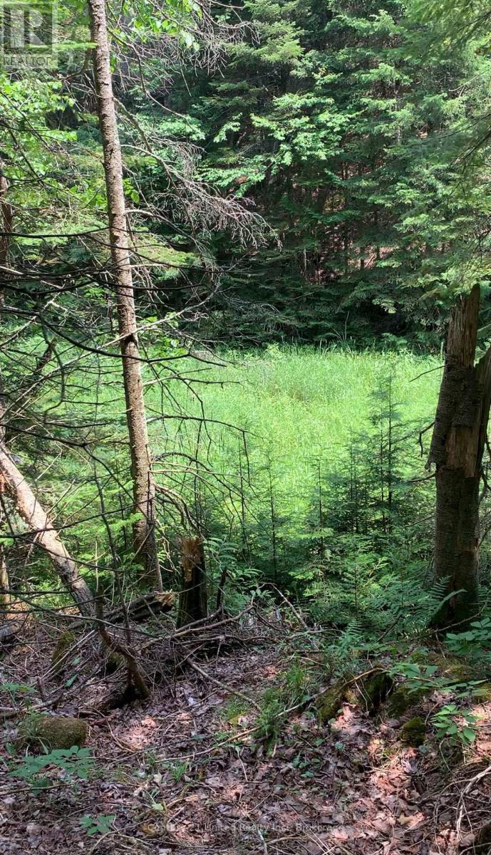 N/a Highway 28 (North Lot), Highlands East (Cardiff Ward), Ontario  K0L 1C0 - Photo 3 - X13517678