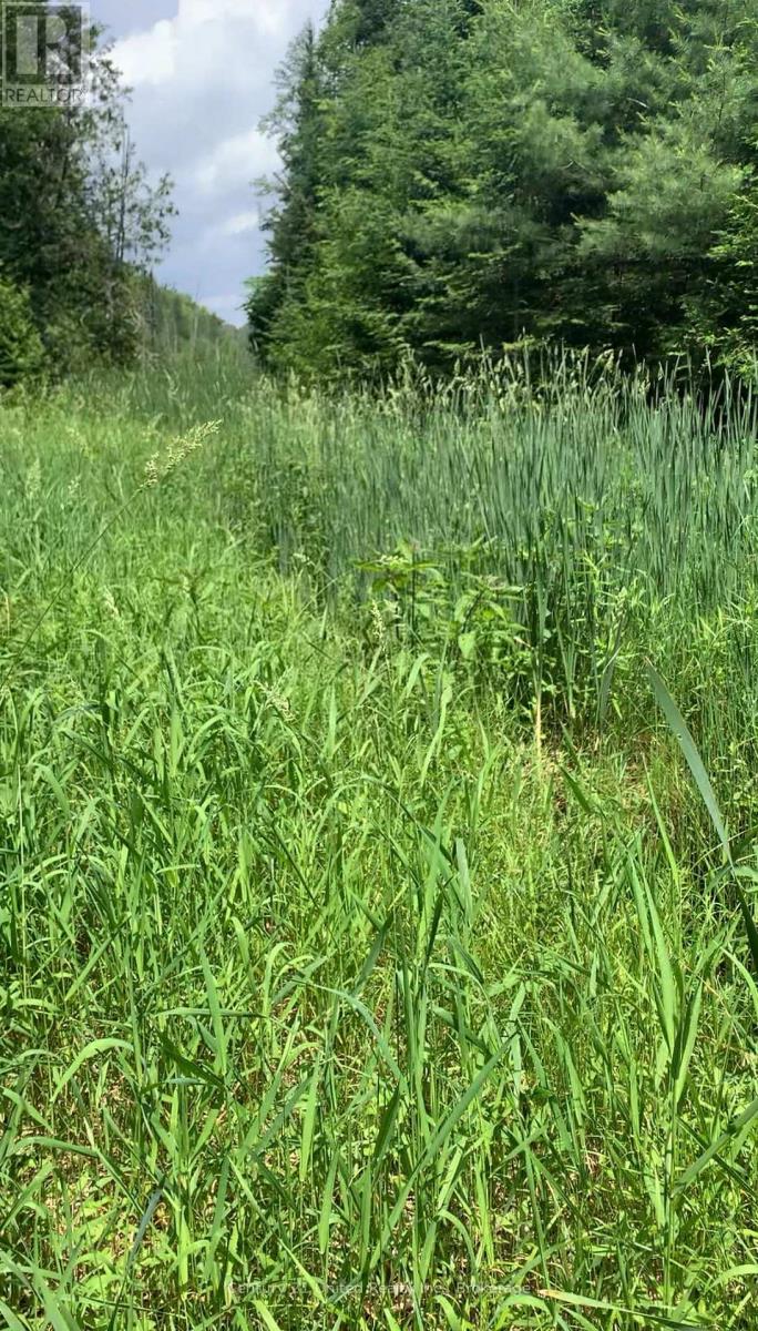 N/a Highway 28 (North Lot), Highlands East (Cardiff Ward), Ontario  K0L 1C0 - Photo 7 - X13517678