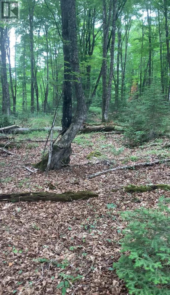 N/a Highway 28 (South Lot), Highlands East (Cardiff Ward), Ontario  K0L 1C0 - Photo 11 - X13517688