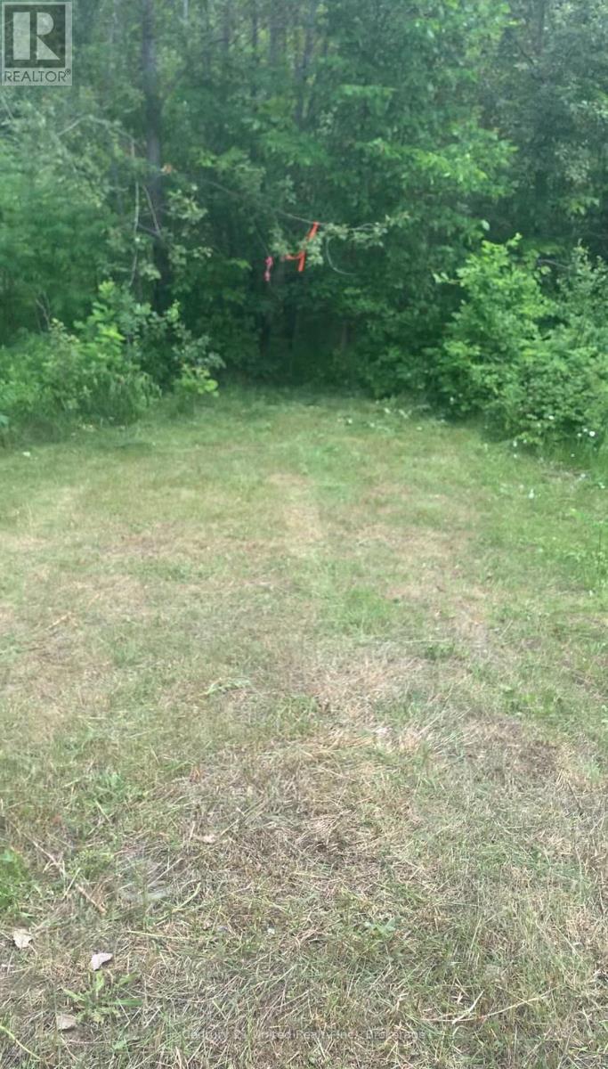 N/a Highway 28 (South Lot), Highlands East (Cardiff Ward), Ontario  K0L 1C0 - Photo 12 - X13517688
