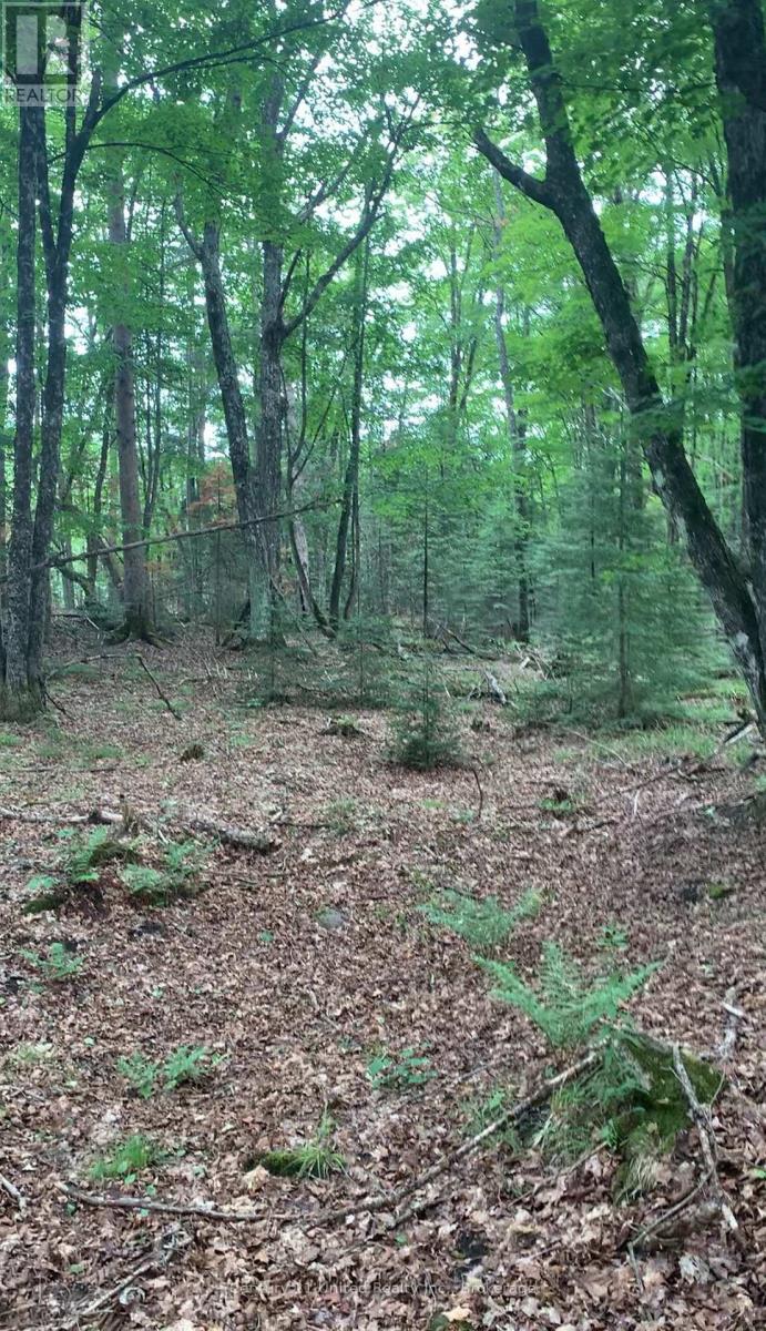 N/a Highway 28 (South Lot), Highlands East (Cardiff Ward), Ontario  K0L 1C0 - Photo 2 - X13517688