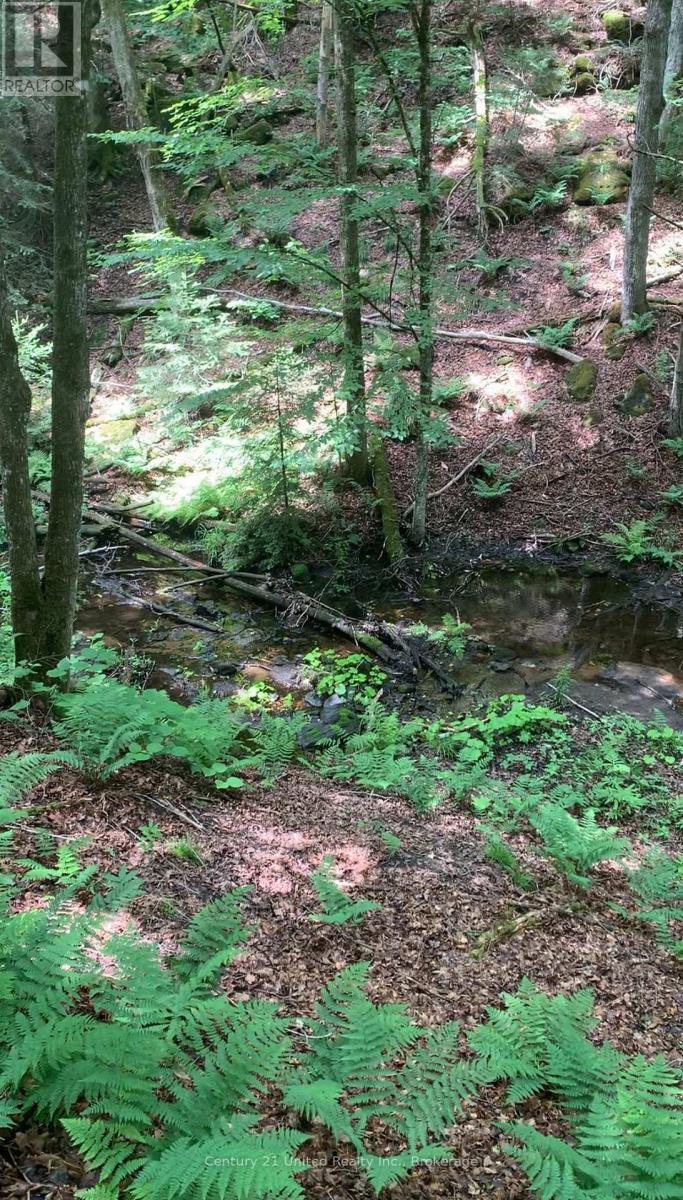 N/a Highway 28 (South Lot), Highlands East (Cardiff Ward), Ontario  K0L 1C0 - Photo 7 - X13517688