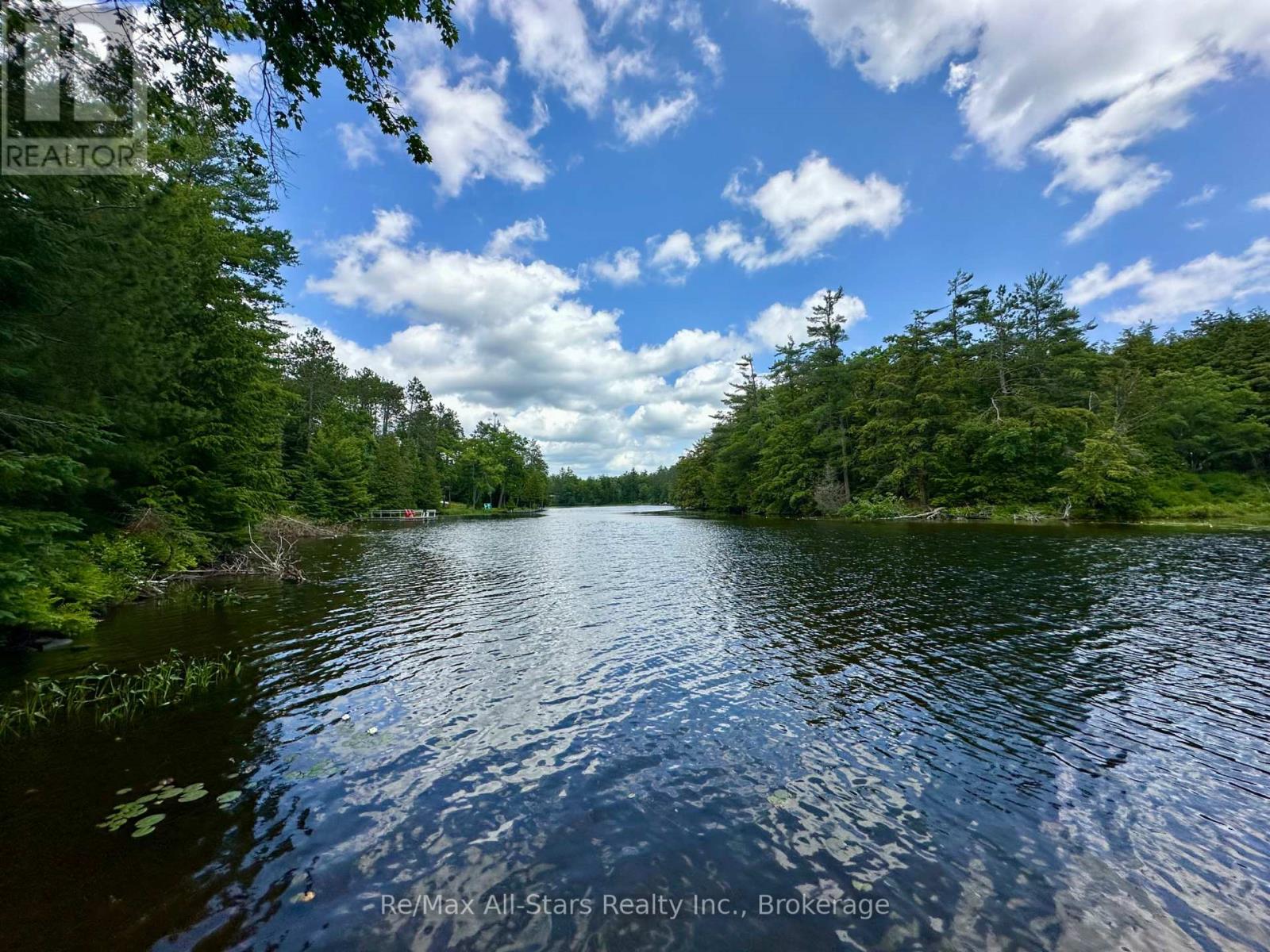 222 Mississagua Dam Road, Trent Lakes, Ontario  K0L 1J0 - Photo 37 - X13518918