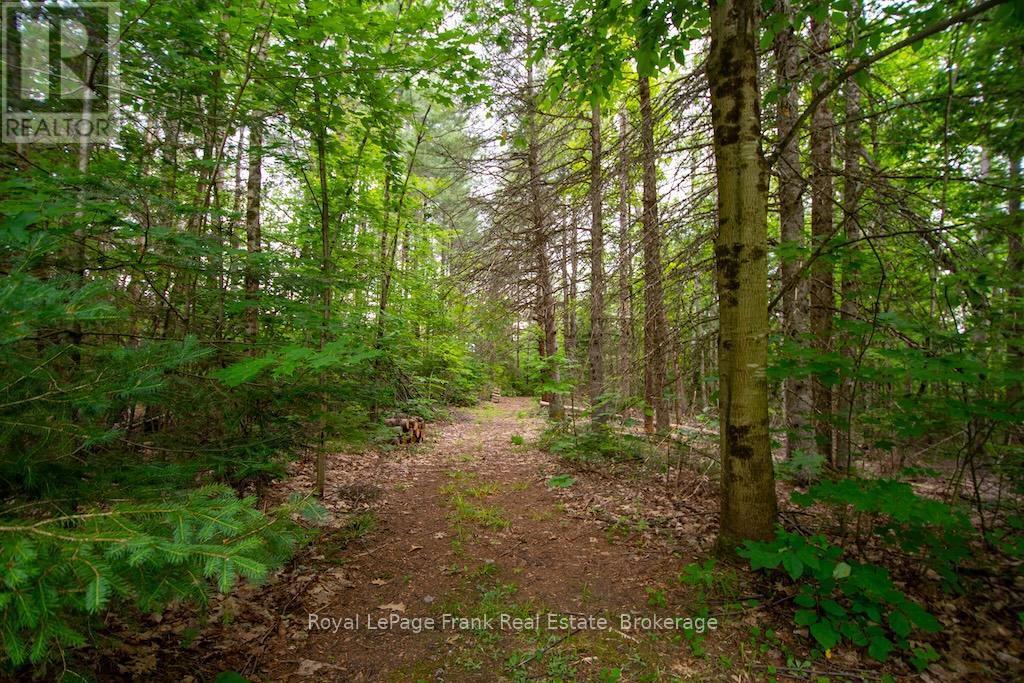3719 County Rd 507 Road, Trent Lakes, Ontario  K0L 1J0 - Photo 42 - X13520430