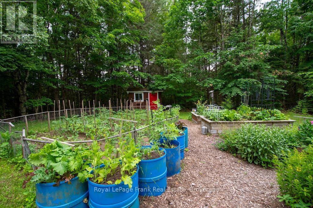3719 County Rd 507 Road, Trent Lakes, Ontario  K0L 1J0 - Photo 45 - X13520430