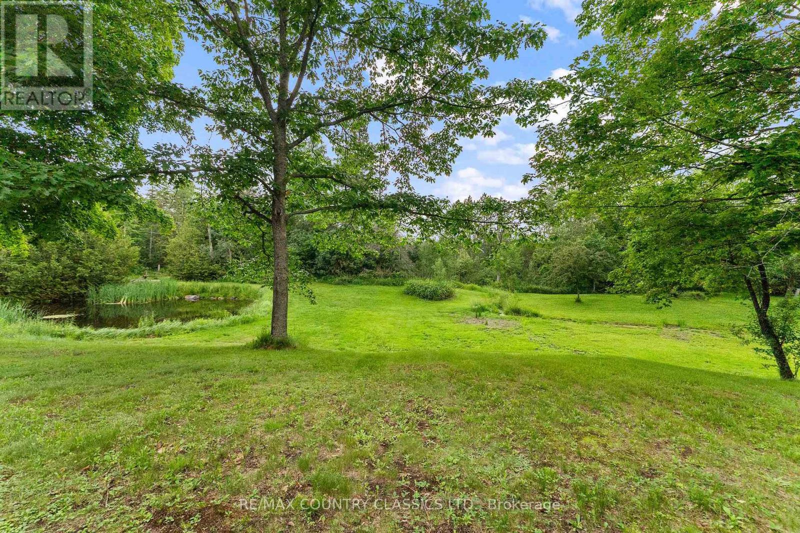 4587 Old Hastings Road, Limerick, Ontario  K0L 1W0 - Photo 35 - X13522276