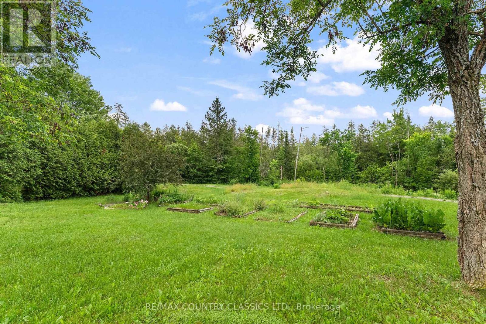4587 Old Hastings Road, Limerick, Ontario  K0L 1W0 - Photo 36 - X13522276