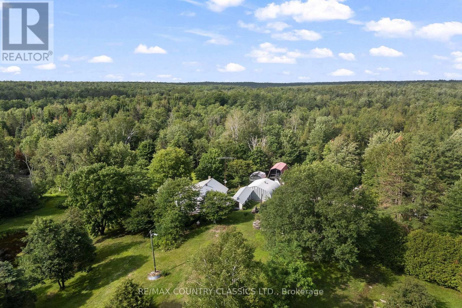 4587 Old Hastings Road, Limerick, Ontario  K0L 1W0 - Photo 39 - X13522276