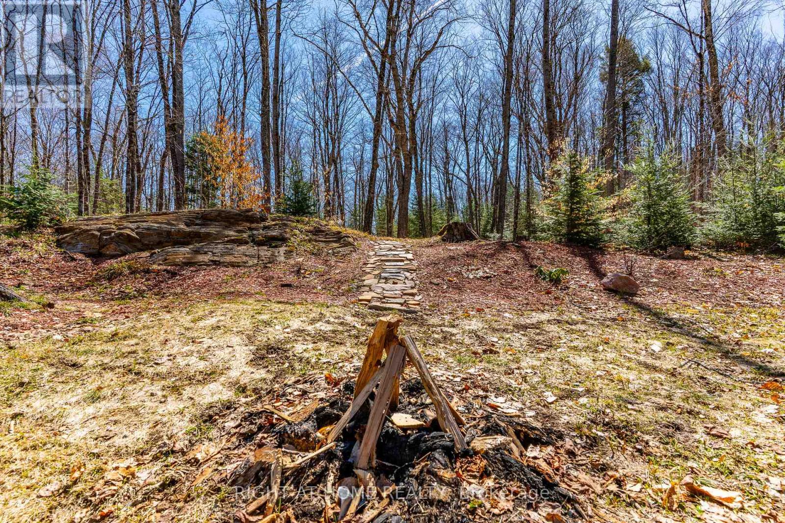 1066 Loop Road, Highlands East (Monmouth), Ontario  K0L 1C0 - Photo 4 - X13522372