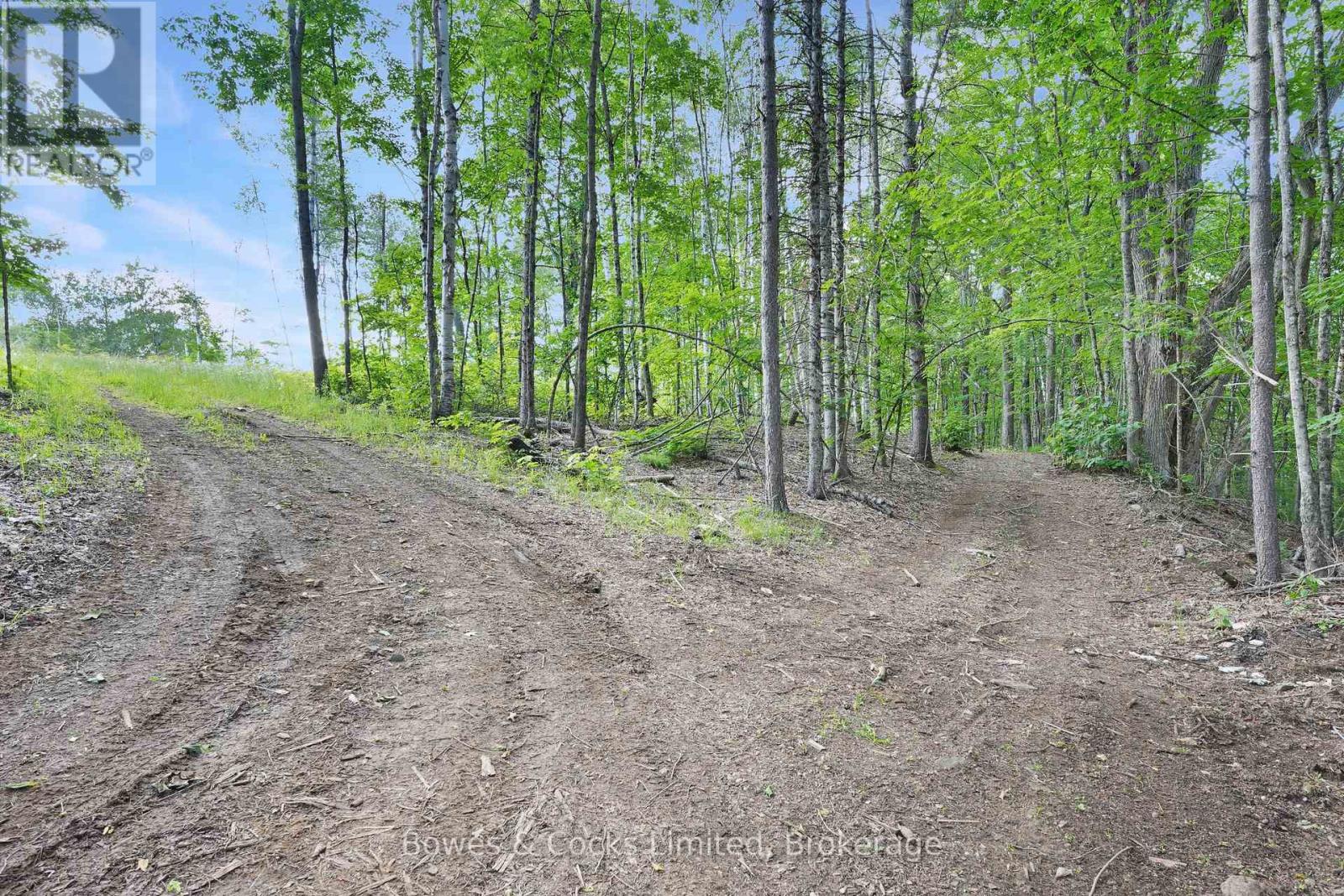 2885 Lower Faraday Road, Faraday, Ontario  K0L 1P0 - Photo 43 - X13522434