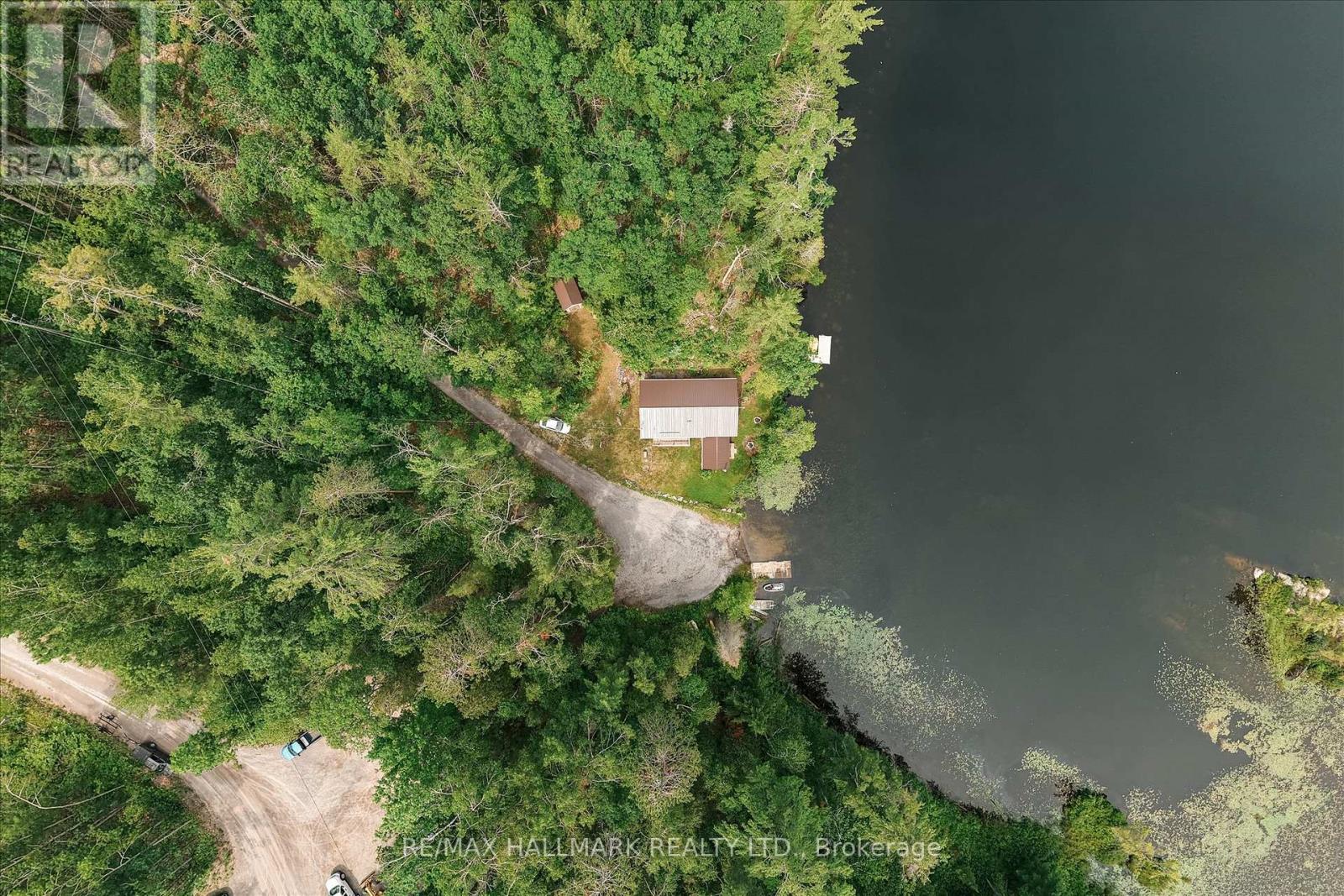 11 Fire Route 44 Route, North Kawartha, Ontario  K0L 2H0 - Photo 40 - X13528222
