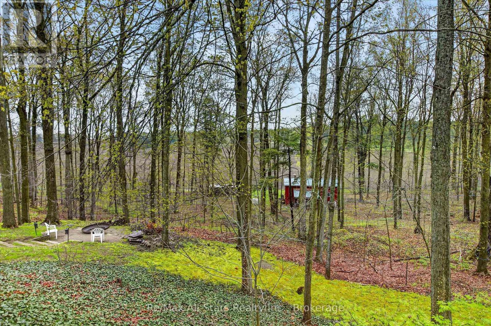 1558 Highway 7a, Kawartha Lakes (Manvers), Ontario  L0A 1A0 - Photo 41 - X13530942
