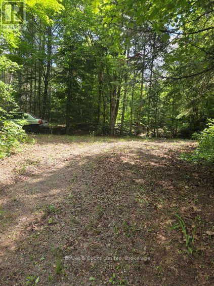 1326 Musclow Greenview, Hastings Highlands (Monteagle Ward), Ontario  K0L 1C0 - Photo 11 - X13539064