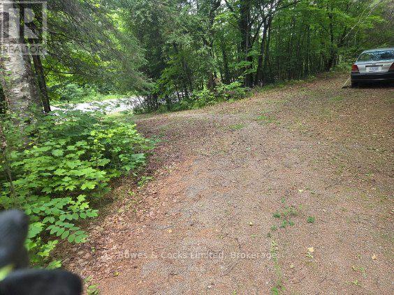 1326 Musclow Greenview, Hastings Highlands (Monteagle Ward), Ontario  K0L 1C0 - Photo 12 - X13539064