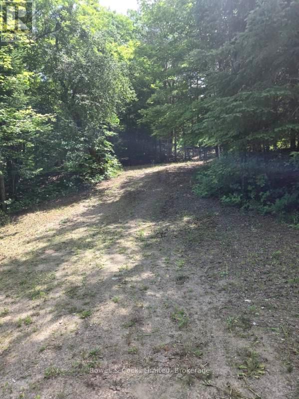 1326 Musclow Greenview, Hastings Highlands (Monteagle Ward), Ontario  K0L 1C0 - Photo 14 - X13539064