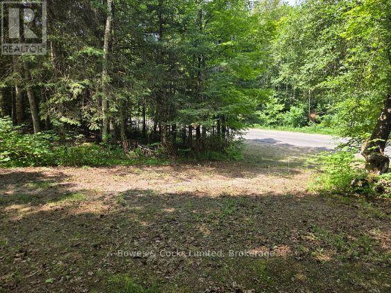 1326 Musclow Greenview, Hastings Highlands (Monteagle Ward), Ontario  K0L 1C0 - Photo 18 - X13539064