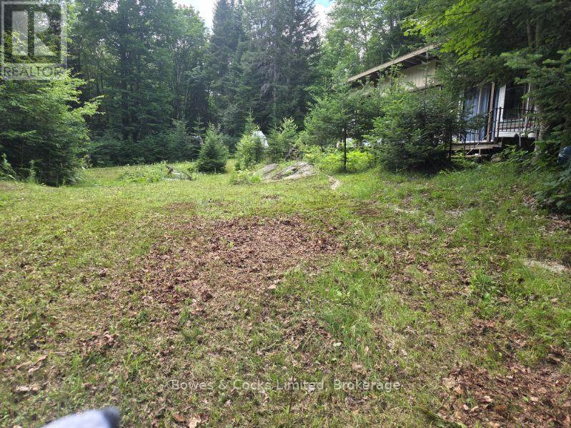 1326 Musclow Greenview, Hastings Highlands (Monteagle Ward), Ontario  K0L 1C0 - Photo 4 - X13539064