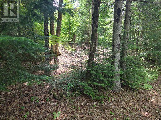 1326 Musclow Greenview, Hastings Highlands (Monteagle Ward), Ontario  K0L 1C0 - Photo 7 - X13539064