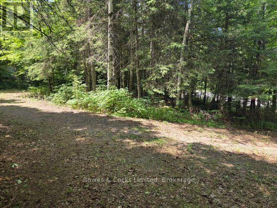1326 Musclow Greenview, Hastings Highlands (Monteagle Ward), Ontario  K0L 1C0 - Photo 8 - X13539064