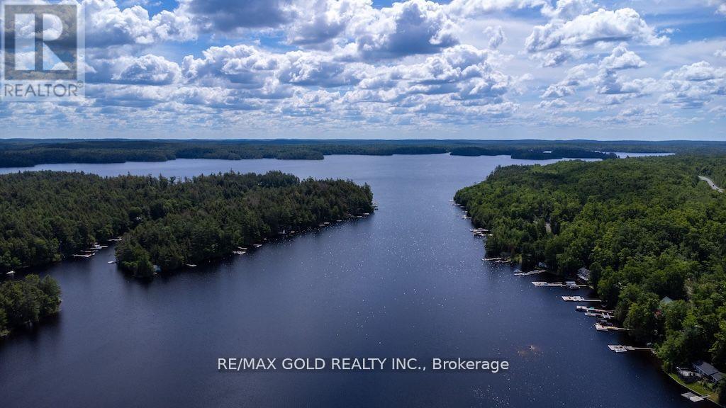 6 Fire Route 278, Trent Lakes, Ontario  K0L 1J0 - Photo 42 - X13539440