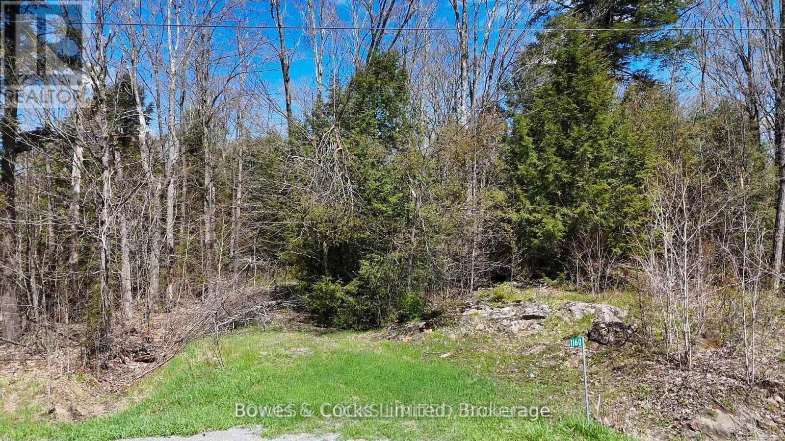 1160 Balmer Road, North Kawartha, Ontario  K0L 1A0 - Photo 2 - X13540040