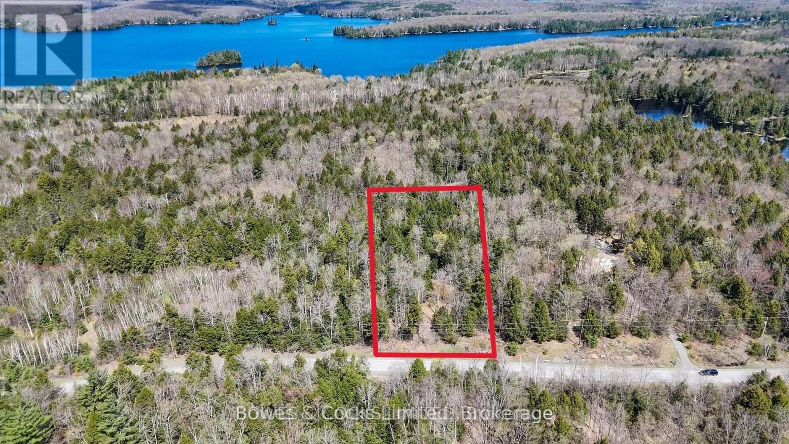 1160 Balmer Road, North Kawartha, Ontario  K0L 1A0 - Photo 4 - X13540040