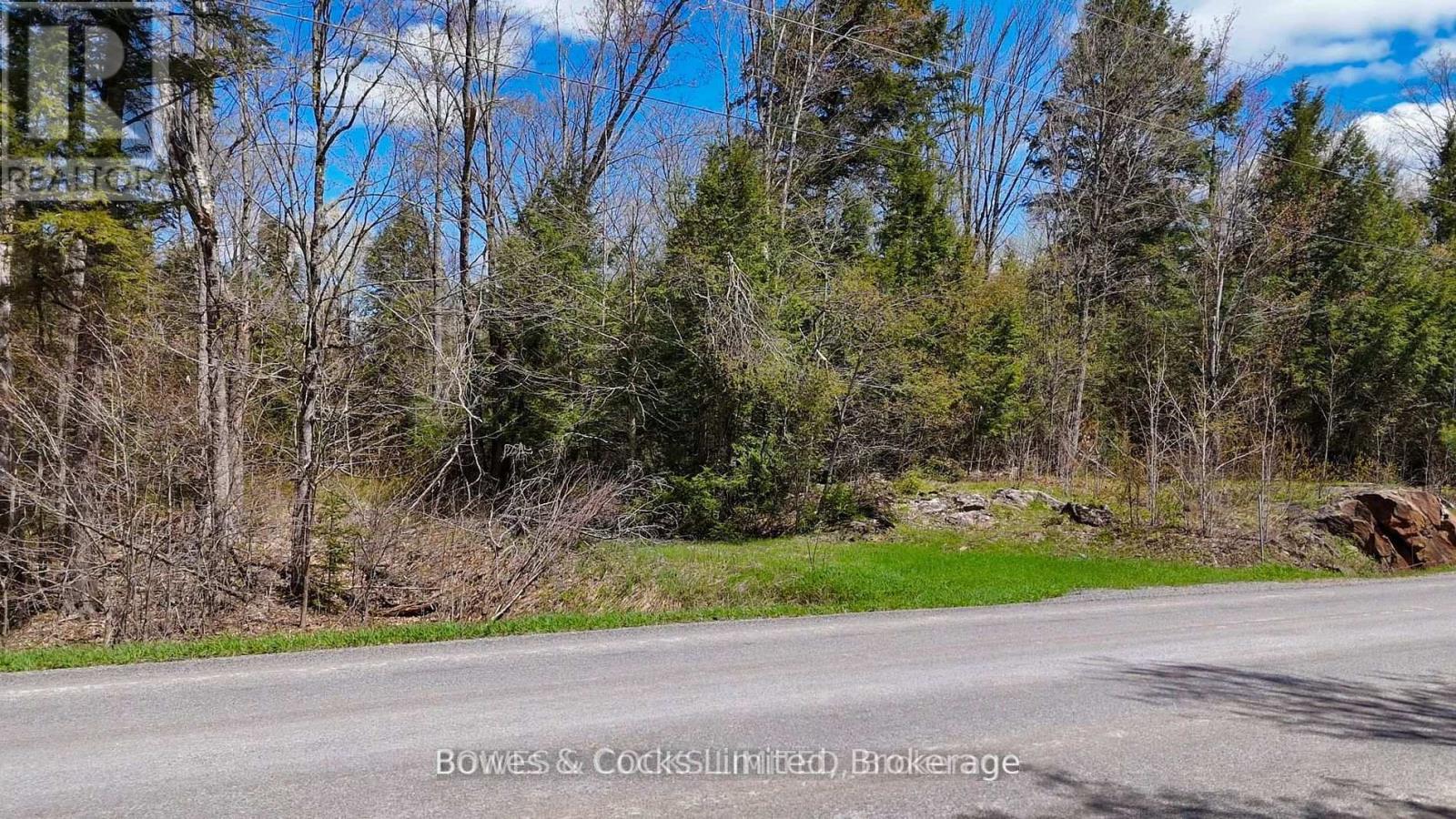 1160 Balmer Road, North Kawartha, Ontario  K0L 1A0 - Photo 5 - X13540040