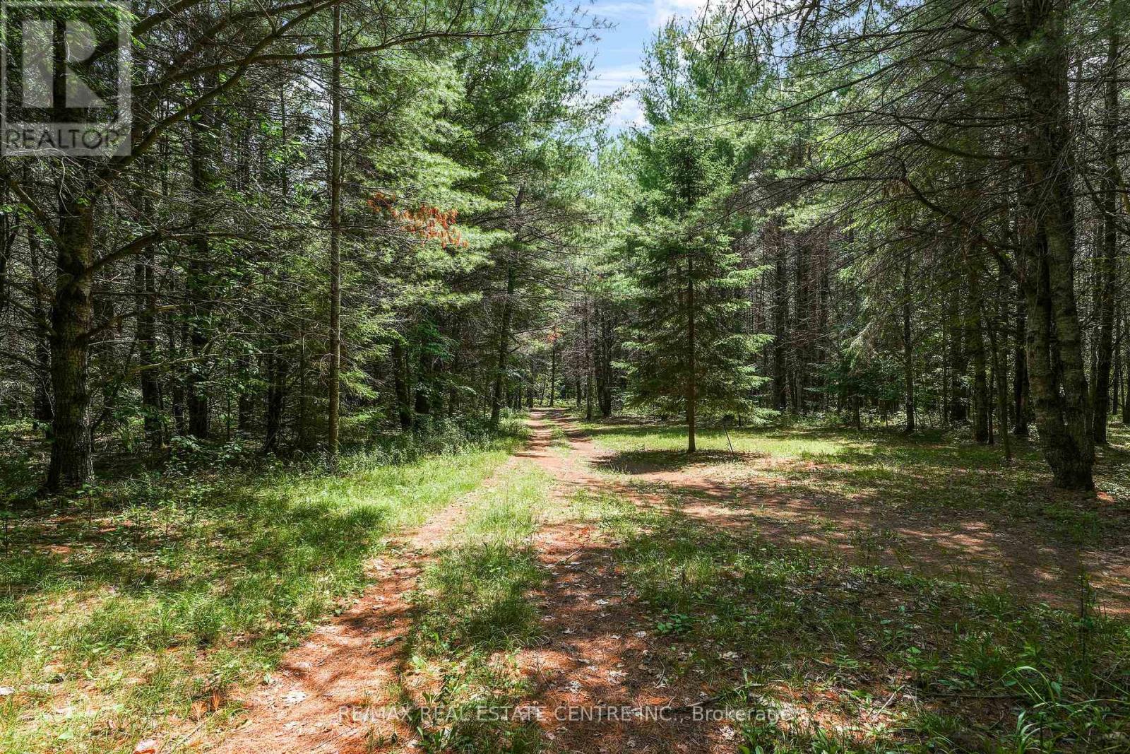 16 Williams Drive, Bancroft (Bancroft Ward), Ontario  K0L 1C0 - Photo 38 - X13543444