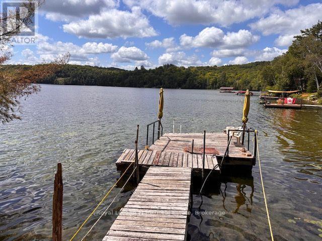 275 Faradale Drive, Faraday, Ontario  K0L 1C0 - Photo 20 - X13543696