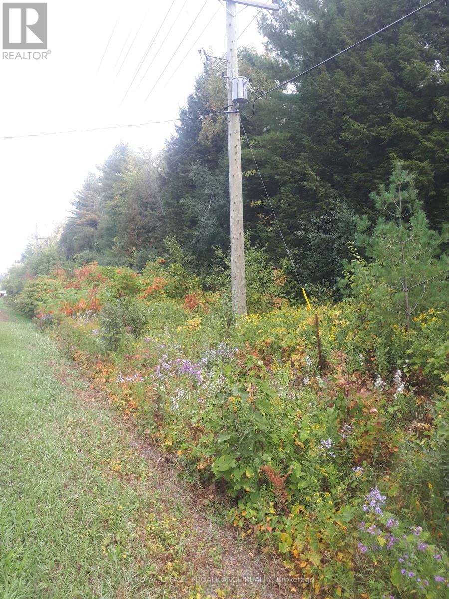 Pt Lt 2 Ganaraska Road, Port Hope, Ontario  L0A 1B0 - Photo 5 - X13544182