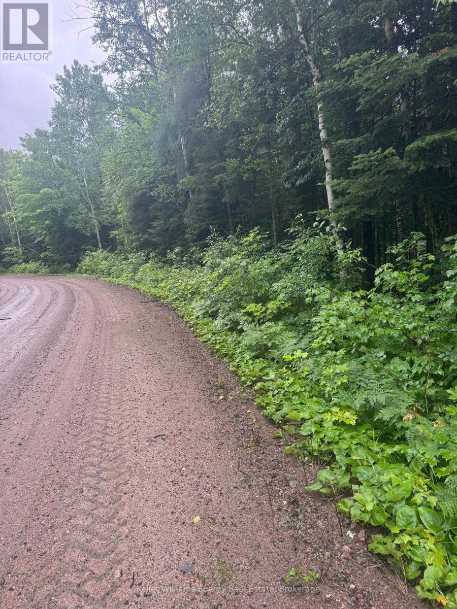 N/a Cross Country Road, Hastings Highlands (Monteagle Ward), Ontario  K0L 1C0 - Photo 11 - X13546108