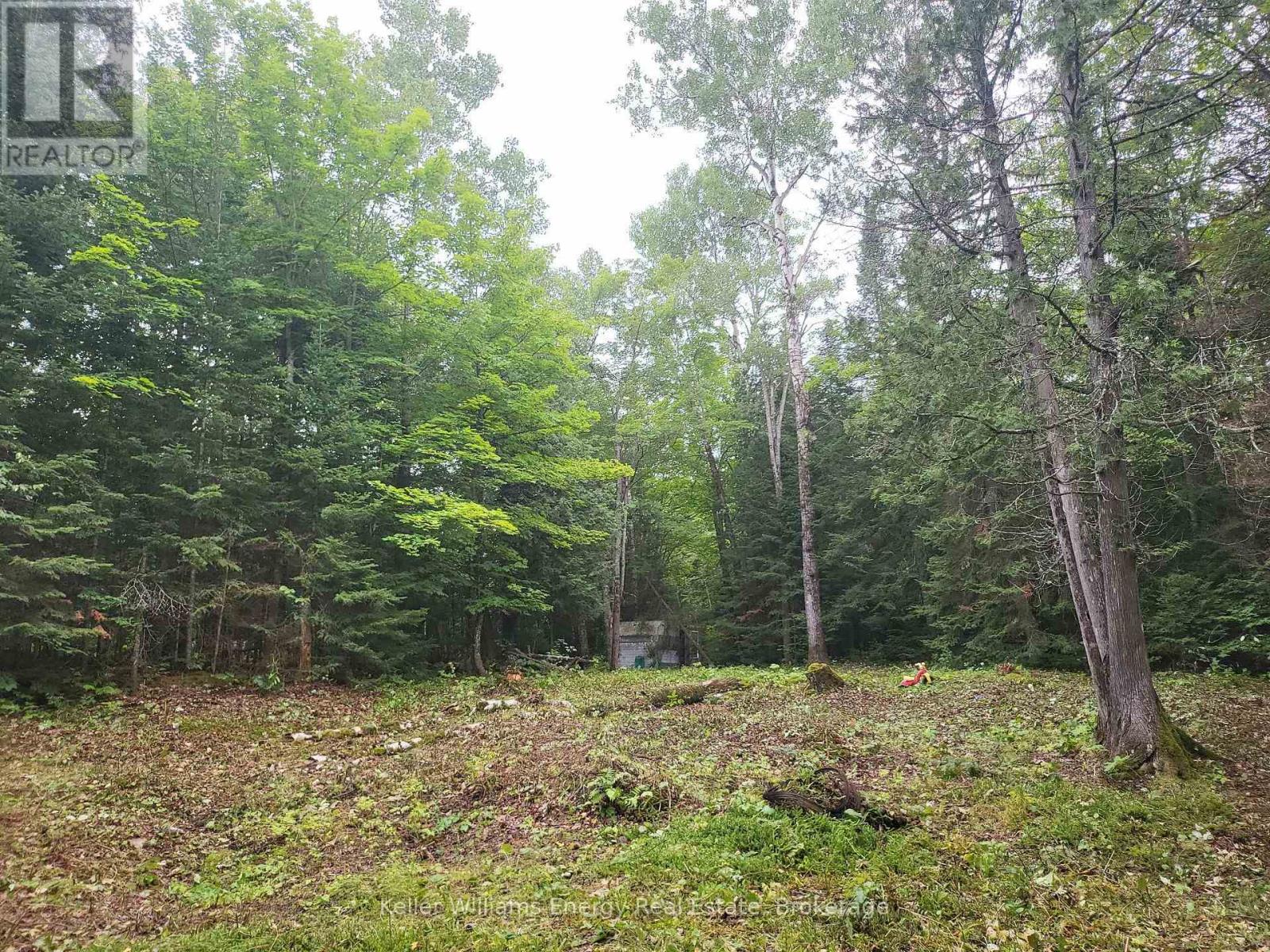 N/a Cross Country Road, Hastings Highlands (Monteagle Ward), Ontario  K0L 1C0 - Photo 13 - X13546108