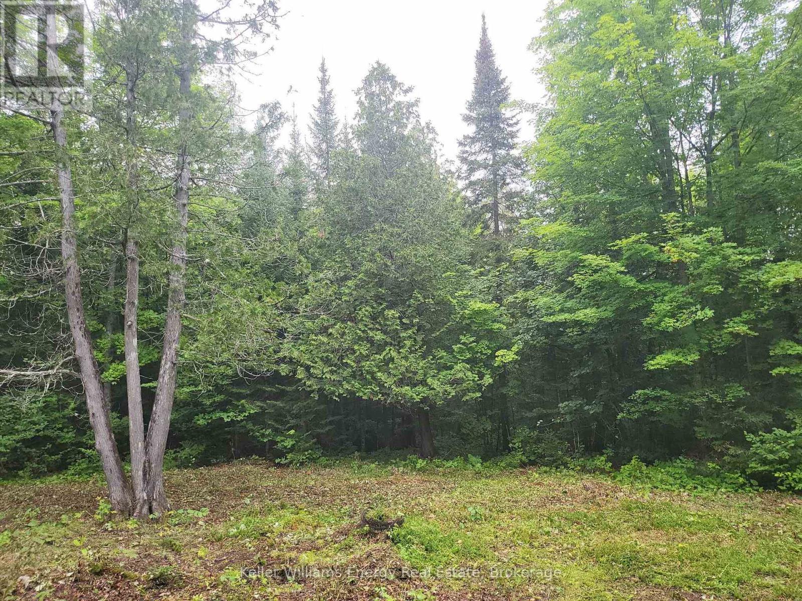 N/a Cross Country Road, Hastings Highlands (Monteagle Ward), Ontario  K0L 1C0 - Photo 14 - X13546108