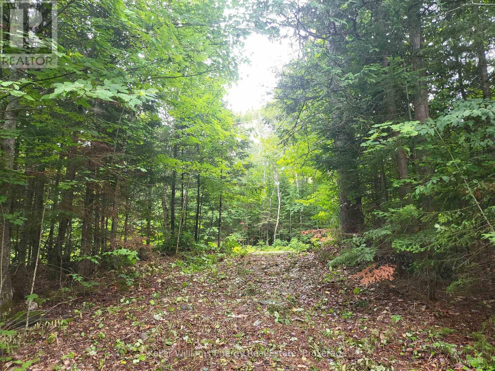 N/a Cross Country Road, Hastings Highlands (Monteagle Ward), Ontario  K0L 1C0 - Photo 15 - X13546108