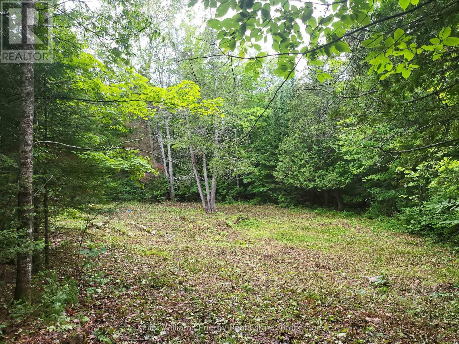 N/a Cross Country Road, Hastings Highlands (Monteagle Ward), Ontario  K0L 1C0 - Photo 16 - X13546108