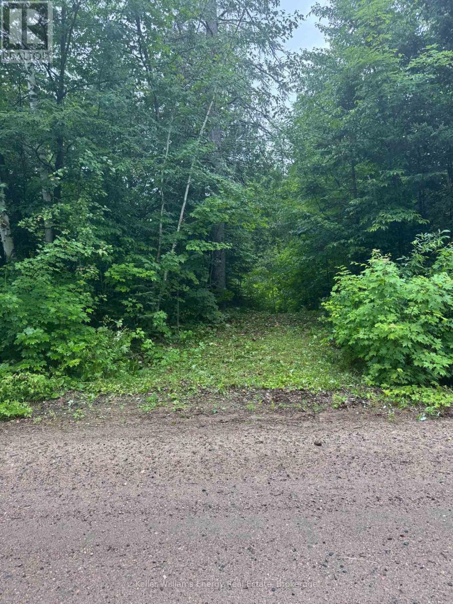 N/a Cross Country Road, Hastings Highlands (Monteagle Ward), Ontario  K0L 1C0 - Photo 2 - X13546108