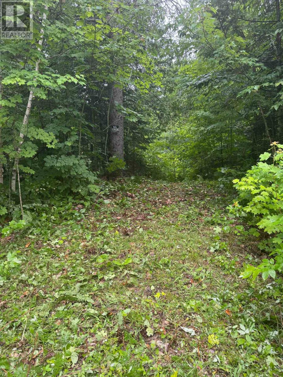 N/a Cross Country Road, Hastings Highlands (Monteagle Ward), Ontario  K0L 1C0 - Photo 4 - X13546108