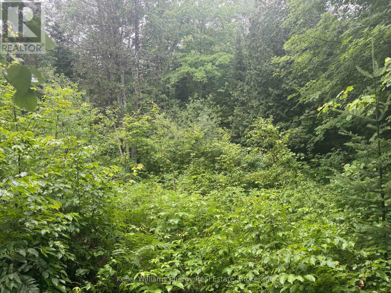N/a Cross Country Road, Hastings Highlands (Monteagle Ward), Ontario  K0L 1C0 - Photo 6 - X13546108