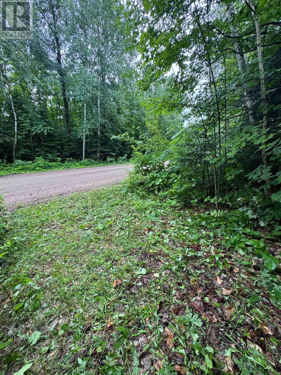 N/a Cross Country Road, Hastings Highlands (Monteagle Ward), Ontario  K0L 1C0 - Photo 9 - X13546108