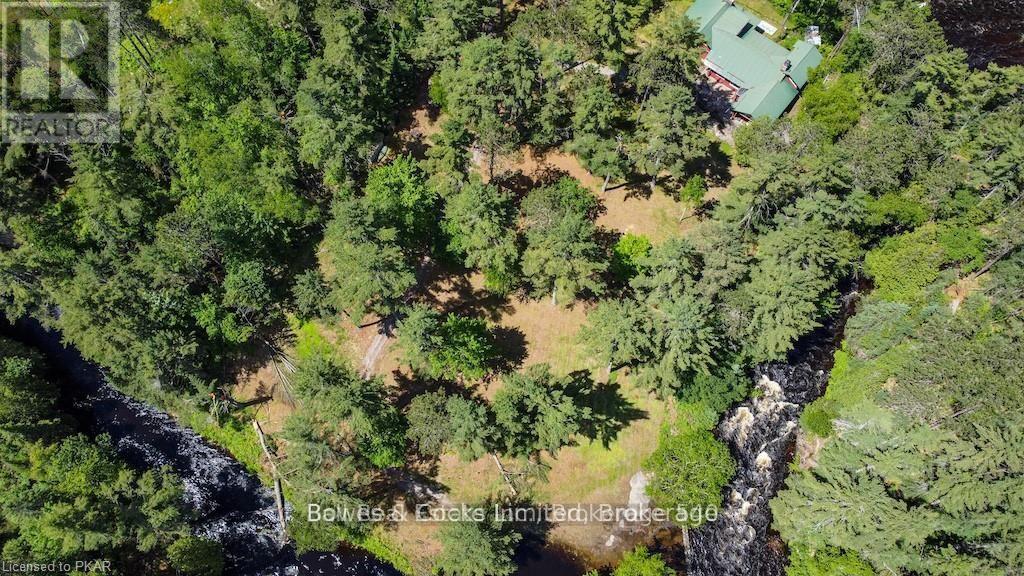 7953 Highway 28, North Kawartha, Ontario  K0L 3E0 - Photo 47 - X13550748