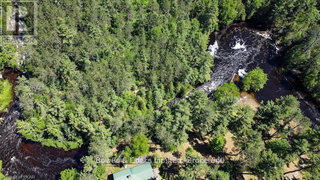 7953 Highway 28, North Kawartha, Ontario  K0L 3E0 - Photo 50 - X13550748