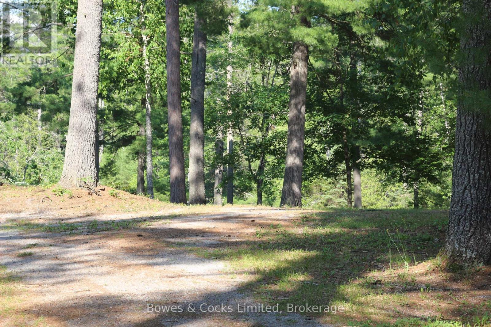 7953 Highway 28, North Kawartha, Ontario  K0L 3E0 - Photo 8 - X13550748