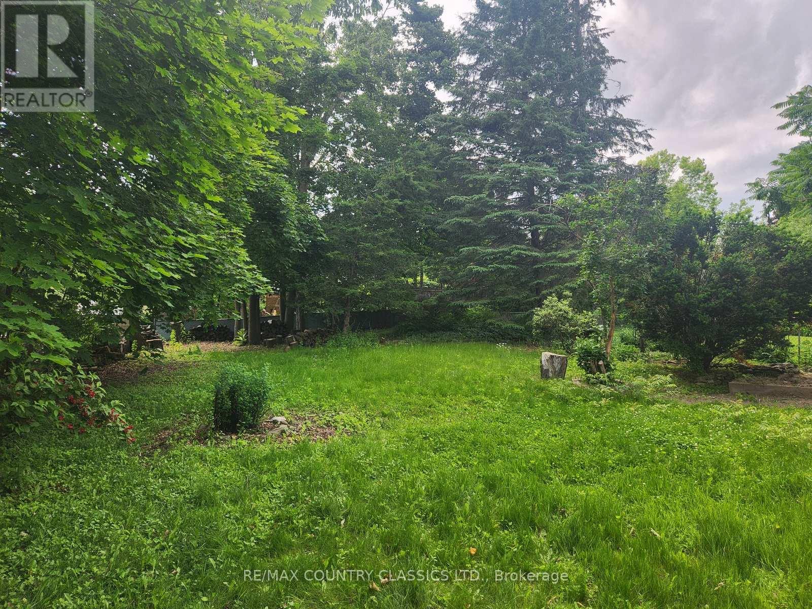 Lower - 7 Beechwood Drive, Peterborough (Monaghan Ward 2), Ontario  K9J 1M2 - Photo 2 - X13550900