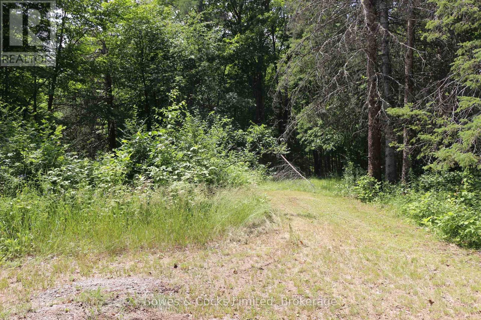 4741 Lower Faraday Road, Wollaston, Ontario  K0L 1P0 - Photo 44 - X13551068