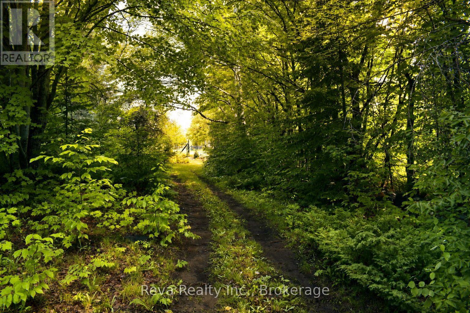 152 Hass Road, Hastings Highlands (Wicklow Ward), Ontario  K0L 2S0 - Photo 39 - X13552156