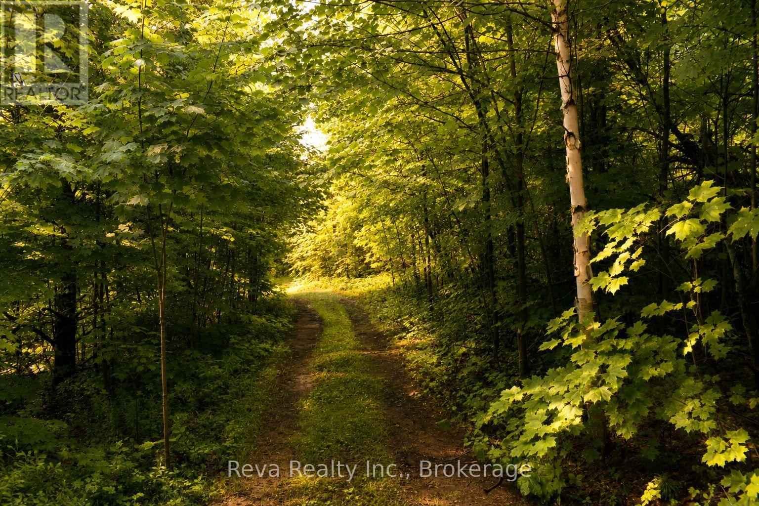 152 Hass Road, Hastings Highlands (Wicklow Ward), Ontario  K0L 2S0 - Photo 40 - X13552156
