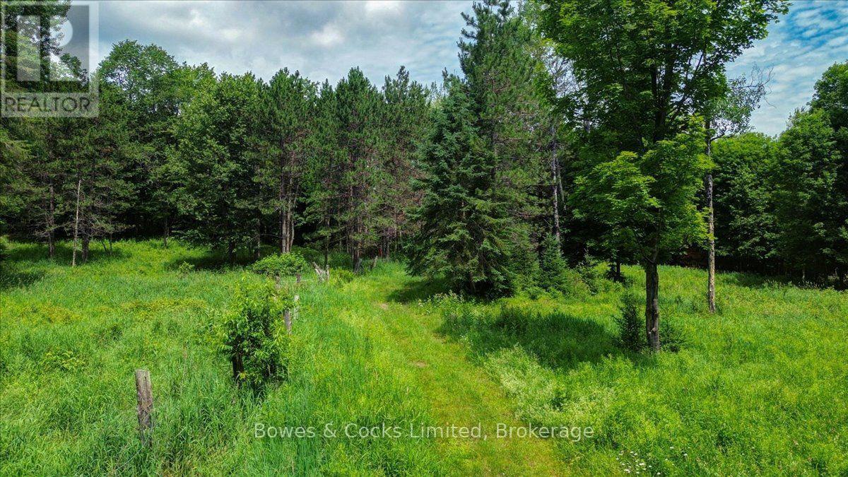161 & 262 Colbourne Road, Bancroft (Dungannon Ward), Ontario  K0L 2L0 - Photo 39 - X13553120